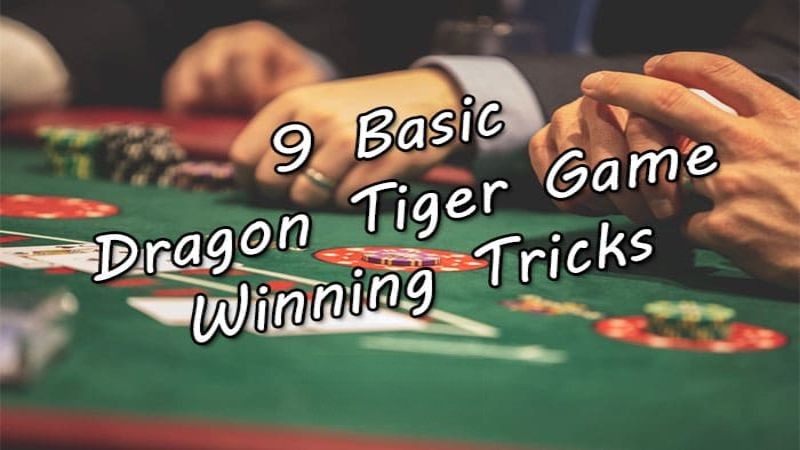 9 Basic Dragon Tiger Game Winning Tricks, Earn ₱3k+ Easily